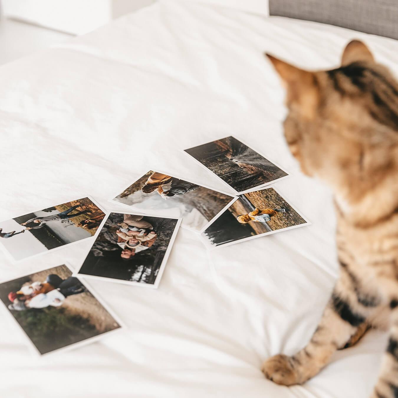 Друк Фотографій 10*15